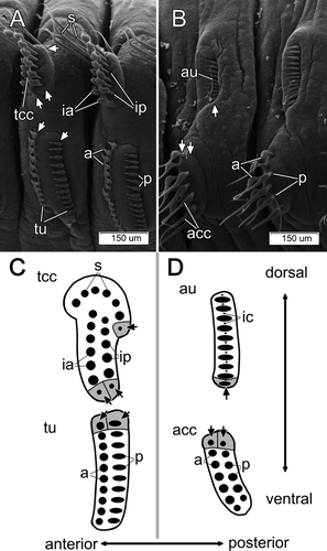 Details are in the caption following the image