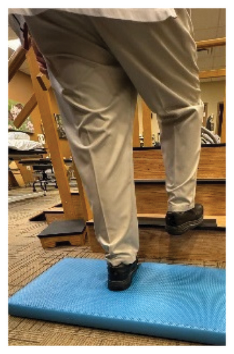 Details are in the caption following the image
