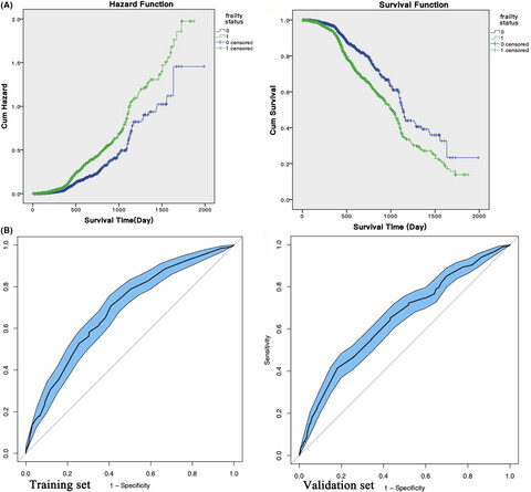 Prevalence of frailty and prediction of mortality in Chinese cancer patients using a frailty index-based clinical algorithm—A multicentre study