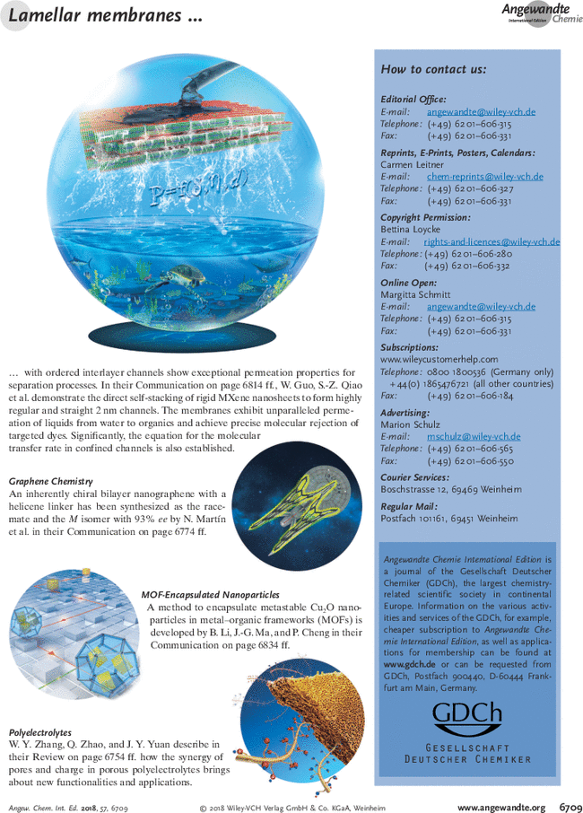 First page image