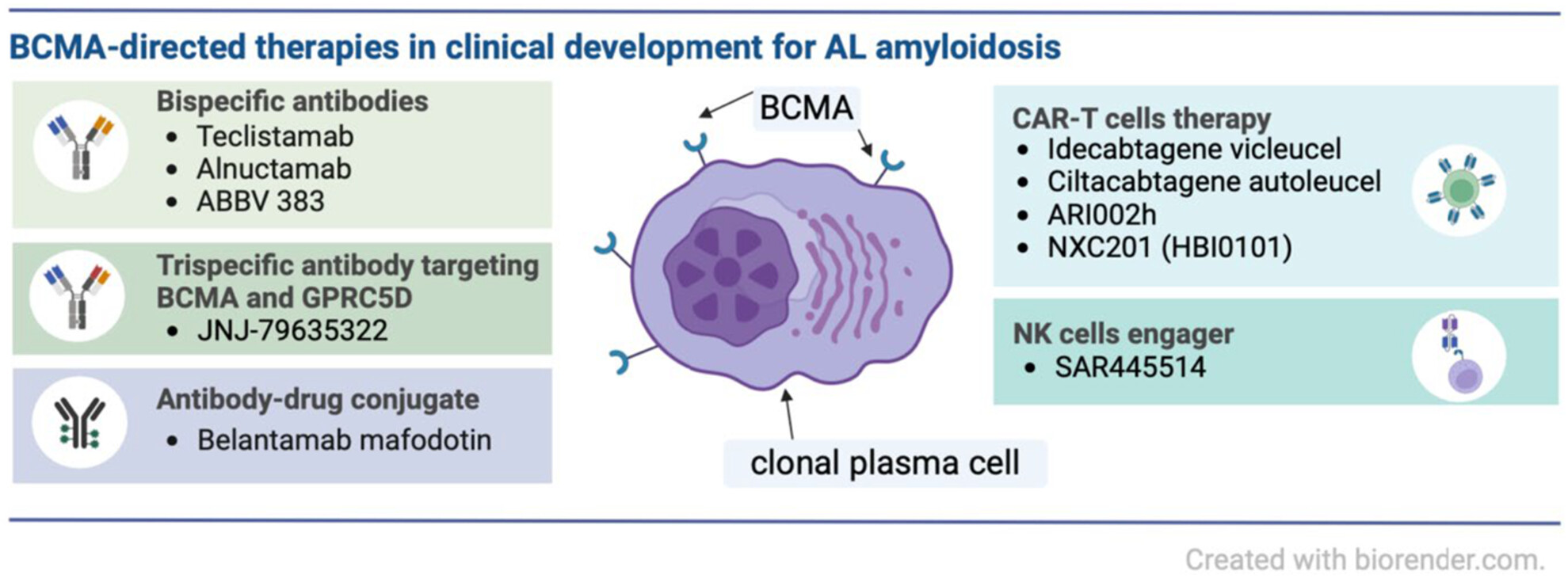 Update on B-cell maturation antigen-directed therapies in AL amyloidosis