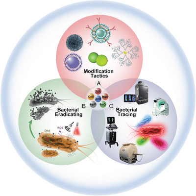 Leveraging metal oxide nanoparticles for bacteria tracing and eradicating