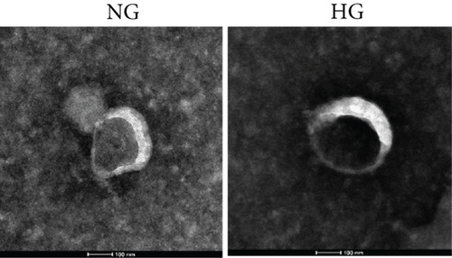 Details are in the caption following the image