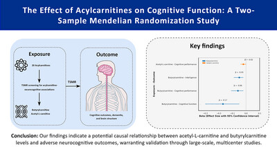 The Effect of Acylcarnitines on Cognitive Function: A Two-Sample Mendelian Randomization Study