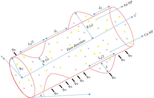 Details are in the caption following the image Details are in the caption following the image