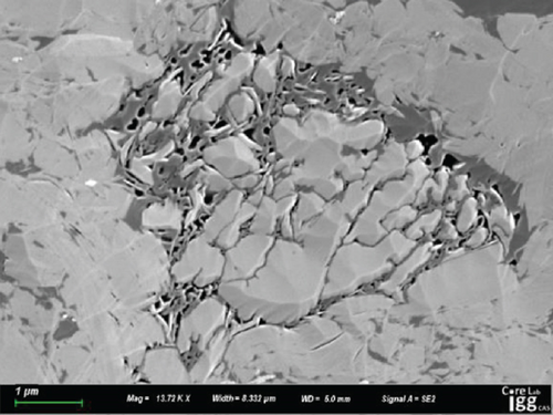 Details are in the caption following the image