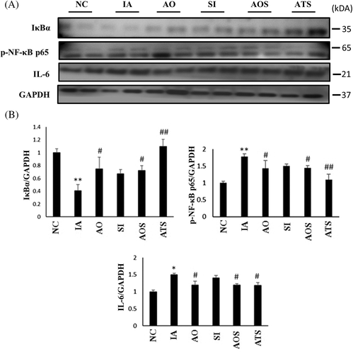 Details are in the caption following the image Details are in the caption following the image