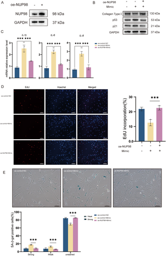 Details are in the caption following the image Details are in the caption following the image