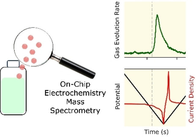 Probing Degradation in Lithium Ion Batteries with On-Chip Electrochemistry Mass Spectrometry**