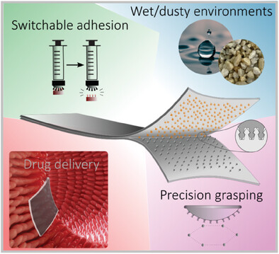 Bio-Inspired Interlocking Micro-Patterning for Tunable, Switchable and Selective Adhesion in Wet and Dusty Environments