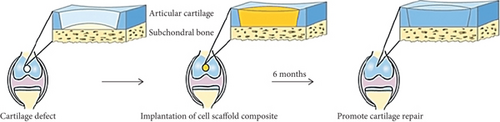 Details are in the caption following the image