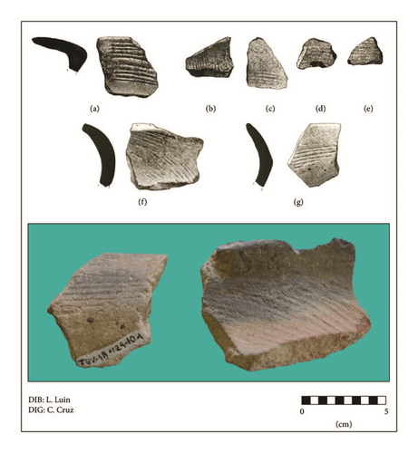 Details are in the caption following the image Details are in the caption following the image