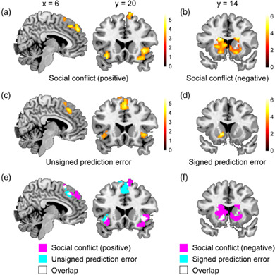 Testing the reinforcement learning hypothesis of social conformity