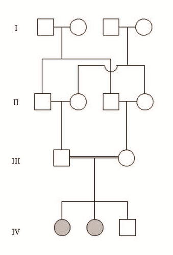 Details are in the caption following the image