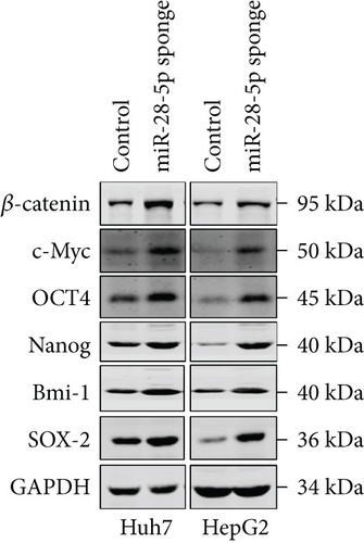 Details are in the caption following the image