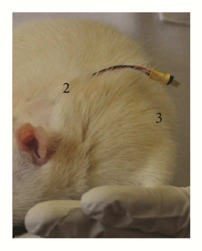 Details are in the caption following the image Details are in the caption following the image