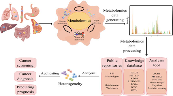 Metabolic insights into tumor pathogenesis: Unveiling pan-cancer metabolism and the potential of untargeted metabolomics