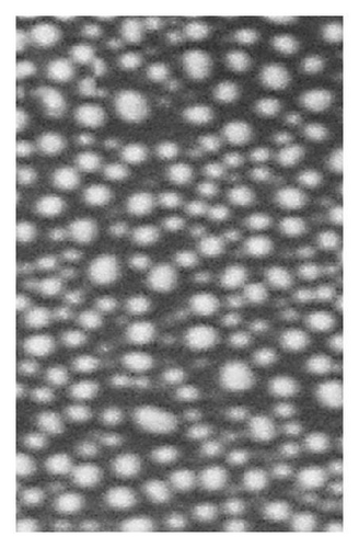 Details are in the caption following the image