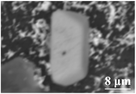 aesr202100074-gra-0014