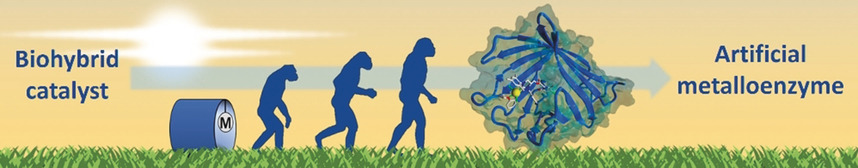 Towards the Evolution of Artificial Metalloenzymes—A Protein Engineer's Perspective
