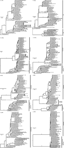 Details are in the caption following the image Details are in the caption following the image