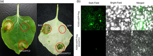 Details are in the caption following the image Details are in the caption following the image