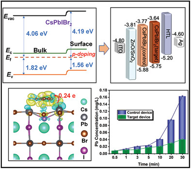 Synergistic Effect of Surface p-Doping and Passivation Improves the Efficiency, Stability, and Reduces Lead Leakage in All-Inorganic CsPbIBr2-Based Perovskite Solar Cells