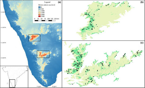 Elevation and landscape change drive the distribution of a montane, endemic grassland bird