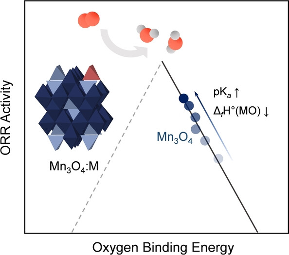 Altering Oxygen Binding by Redox-Inactive Metal Substitution to Control Catalytic Activity: Oxygen Reduction on Manganese Oxide Nanoparticles as a Model System**