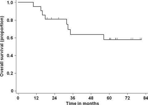 Feasibility study of chemoradiotherapy followed by amrubicin and cisplatin for limited-disease small cell lung cancer