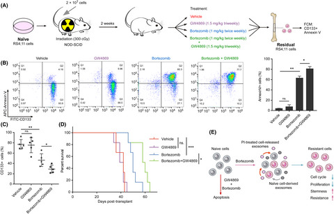Exosomes mediate intercellular transfer of non–autonomous tolerance to proteasome inhibitors in mixed-lineage leukemia