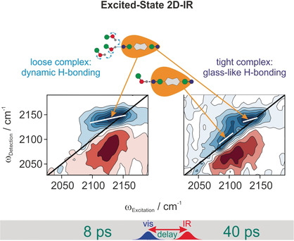 Transient Glass Formation around a Quadrupolar Photoexcited Dye in a Strongly H-Bonding Liquid Observed by Transient 2D-IR Spectroscopy