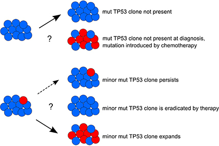 TP53 Mutation Analysis in Clinical Practice: Lessons From Chronic Lymphocytic Leukemia