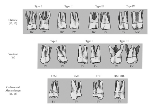 Details are in the caption following the image Details are in the caption following the image