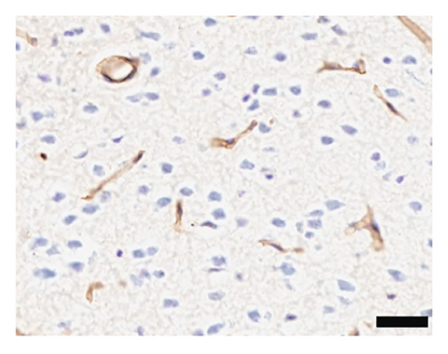 Details are in the caption following the image