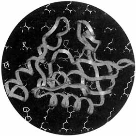Cover Picture (Angew. Chem. Int. Ed. Engl. 6/1995)