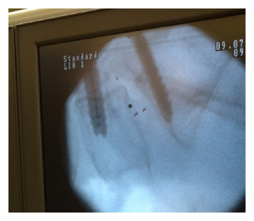Details are in the caption following the image Details are in the caption following the image