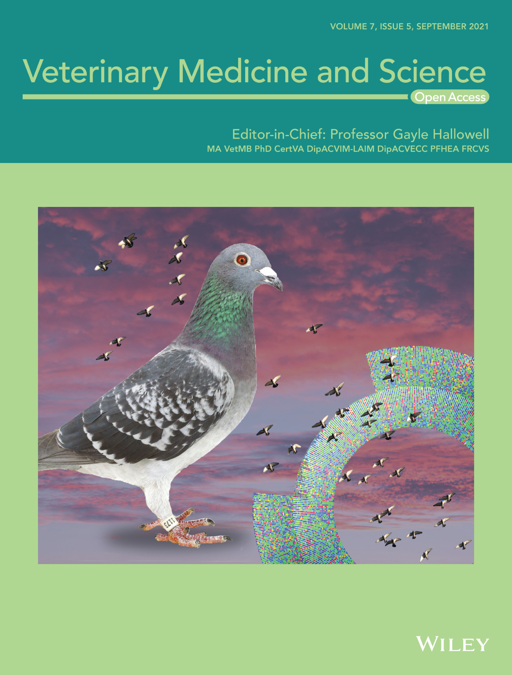 Cover Image Volume 7 Issue 5, 2021