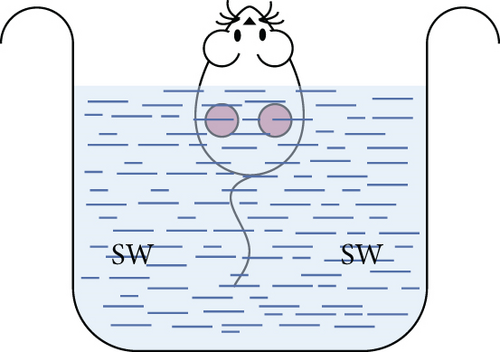 Details are in the caption following the image