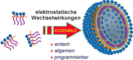 Programmable Nanoassemblies from Non-Assembling Homopolymers Using Ad Hoc Electrostatic Interactions