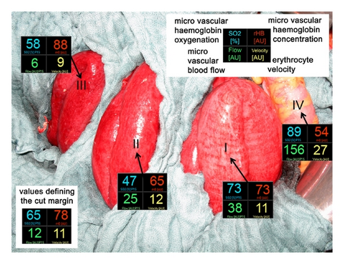 Details are in the caption following the image Details are in the caption following the image