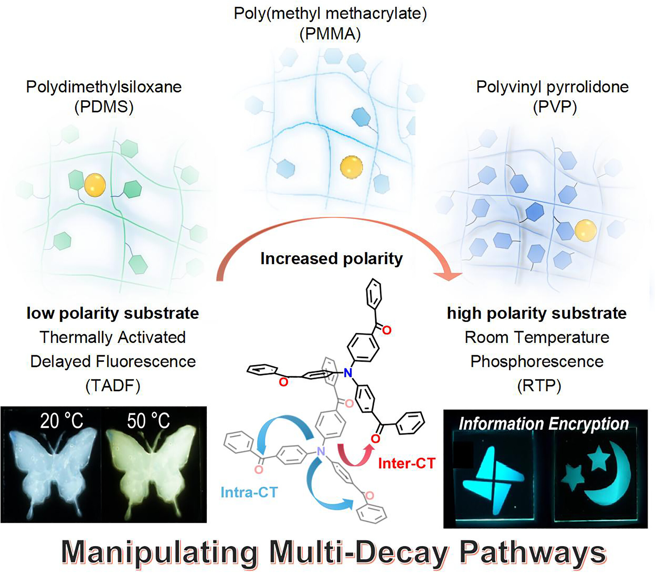 Construction of multi-decay pathways and realizing polymer-regulated organic smart luminescent materials