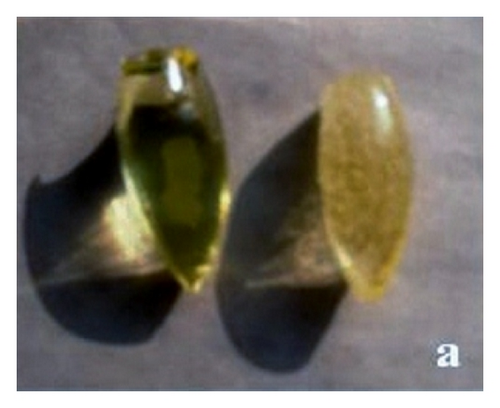 Details are in the caption following the image
