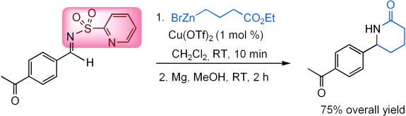 Alkylation of Aryl N-(2-Pyridylsulfonyl)aldimines with Organozinc Halides: Conciliation of Reactivity and Chemoselectivity