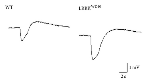 Details are in the caption following the image