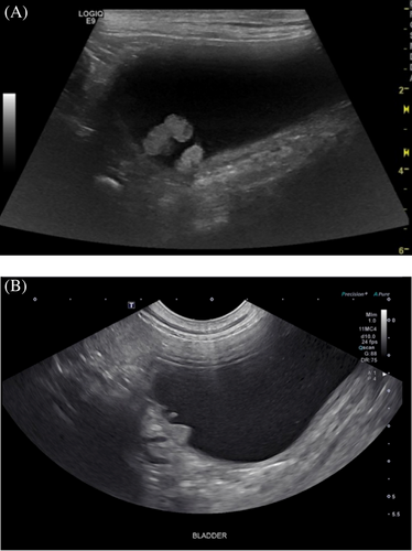 Details are in the caption following the image Details are in the caption following the image