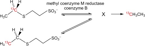 Intermediates in the Catalytic Cycle of Methyl Coenzyme M Reductase: Isotope Exchange is Consistent with Formation of a σ-Alkane–Nickel Complex
