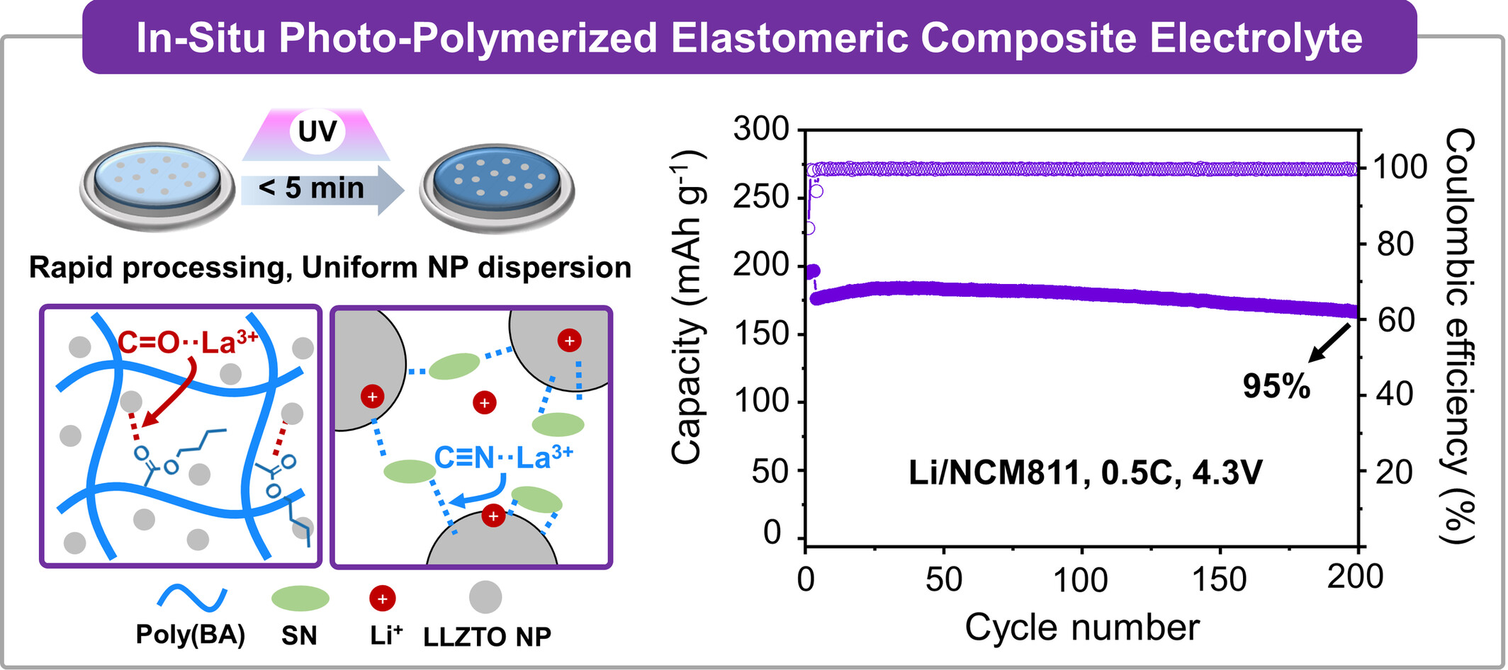 In-situ photo-polymerized elastomeric composite electrolytes containing Li6.4La3Zr1.4Ta0.6O12 particles for stable operation in lithium metal batteries