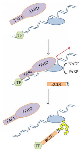 Details are in the caption following the image