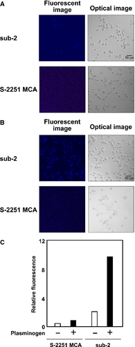 Details are in the caption following the image Details are in the caption following the image